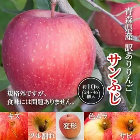 今年も約10kgお届けします!　訳ありりんご「サンふじ」24～46個入【R8年12月中旬～発送開始】_りんご 林檎 訳あり フルーツ 果物 くだもの 傷 規格外 青森県 10kg 人気 おすすめ 送料無料_【配送不可地域：離島・沖縄県】【1333055】