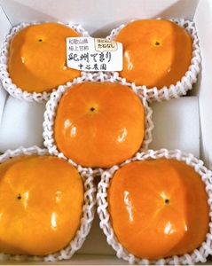 柿 希少品種の柿〇紀州てまり〇5玉化粧箱入り【2026年10月下旬以降発送】【A230-frks126】