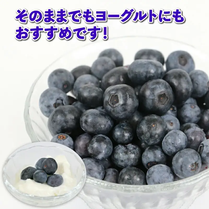ブルーベリー 300g × 4パック 計 約1.2kg 吉田農園 先行予約 ポット栽培 大粒 小分け パック 生 ベリー 果物 フルーツ デザート スイーツ ポリフェノール 抗酸化作用果物 フルーツ 冷蔵 農家直送 産地直送 数量限定 国産 愛媛 宇和島 F012-160002