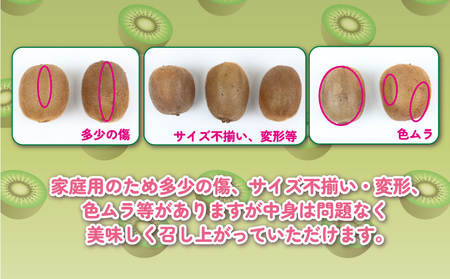 【キウイ】キウイ フルーツ 5kg 吉田農園 家庭用 | F014-160001