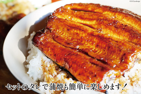 うなぎ 血抜き締め 国産うなぎ 炭火で1本1本丁寧に手焼きした「うなぎの 白焼き (大串)」4尾セット [ヤママツ村田商店 静岡県 吉田町 1375594]