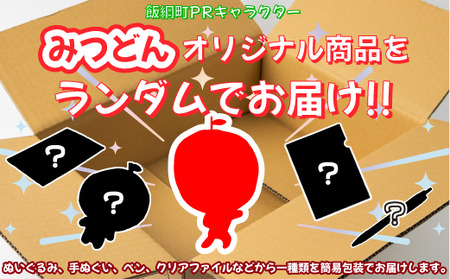 飯綱町PRキャラクター みつどん オリジナル グッズ 沖縄県への配送不可 信州 果物 フルーツ りんご 林檎 長野 飯綱 いいづな 3000円 PR キャラクター 妖精 ゆるキャラ ご当地キャラ お土産 かわいい 雑貨 お楽しみ 長野県 飯綱町 [1704]
