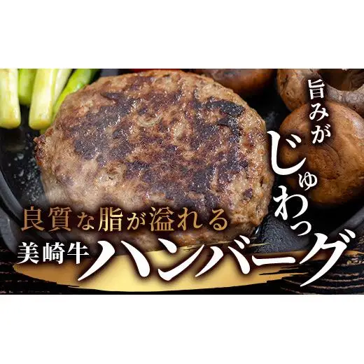 美崎牛ハンバーグ 100g×10個　 O-6