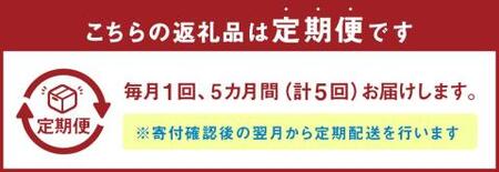 【5ヶ月定期便】A5等級 博多和牛ヒレシャトーブリアン 【ダイヤモンドカット】200g×5枚 肉 和牛 牛肉 冷凍