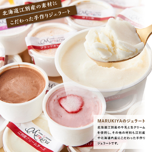 【合計 22個】ジェラートおまかせ 22種セット EB8-0289