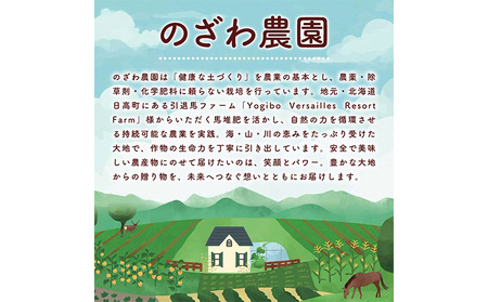 【2026年発送 先行予約 】フルーツ ほおずき 太陽の子 約500g のざわ農園《10月上旬-11月上旬頃出荷》北海道 日高町 希少 ホオズキ
