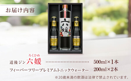 クラフトジン 道後ジン 六媛 500ml×1本・トニック 200ml×2本 酒 BJAI002