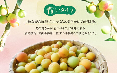 【お中元対象】梅シロップ 七折小梅の梅シロップ 500ml×2本 梅シロップ BJAG001