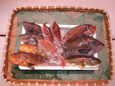 ＼朝どれ新鮮／ 鮮魚セット (小) 約3kg 目利きのプロが厳選した旬の魚をその日の内に発送！ 【nss404】