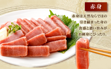 【定期便/計3回】天然本マグロ 400g（天身・中トロ） 【まぐろ】tk171