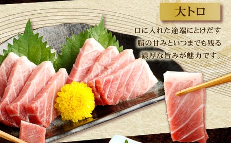 【定期便/計4回】天然本マグロ 大トロ・中トロ・赤身（500g）【まぐろ】tk029