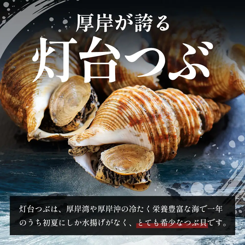 先行受付 北海道 厚岸産 殻灯台 つぶ 2kg（1kg×2パック） 魚介類 海の幸 海産物 海鮮 貝 つぶ貝 希少 下処理不要 刺身 塩茹で お酒のあて つまみ 国産 北海道産 