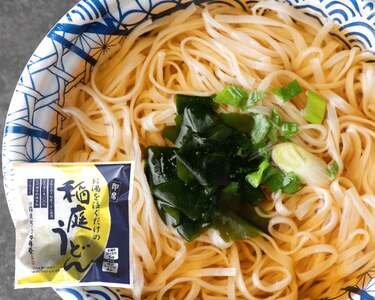稲庭うどんの即席タイプ 8食セット 稲庭うどん 稲庭うどん 【(株)稲庭吟祥堂本舗】[B0308]