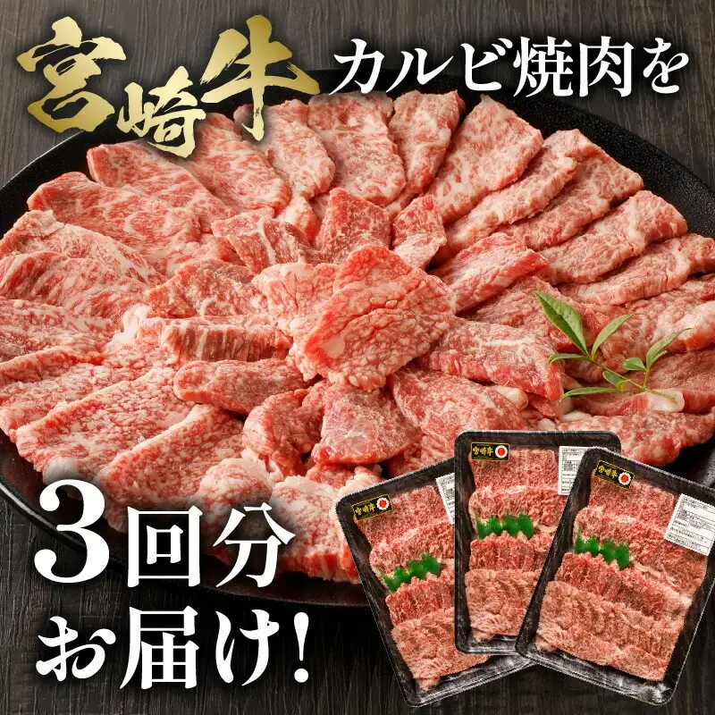 やみつきシリーズ 宮崎牛カルビ定期便 肉 牛 牛肉 カルビ