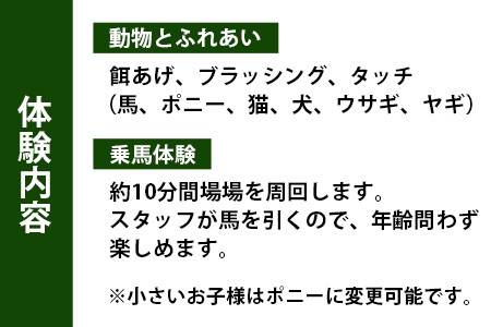 自然の中で動物とふれあい＆乗馬体験 1名【徳島県 那賀町 乗馬 馬 動物 体験チケット 体験型 観光乗馬 ふれあい 観光 旅行 遊び アクティビティ お出かけ レジャー アウトドア アニマルセラピー 癒し リフレッシュ クラブコルツ】CC-1