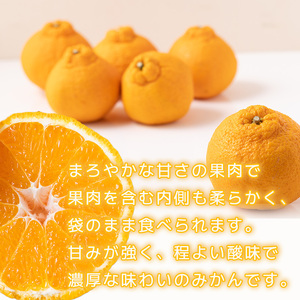 【2027年2月下旬頃から順次発送】不知火 しらぬい 約5kg 【ご贈答用】でこぽんと同品種 柑橘類 先行予約 フルーツ 柑橘類 先行予約 果物 フルーツ みかん シラヌイ 人気 おすすめ 愛媛 松山 田中農園【TNN0012】