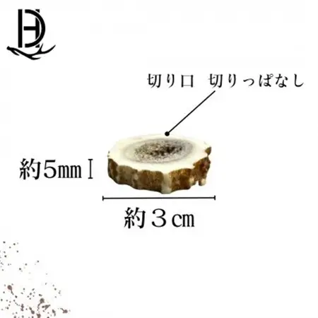 鹿の角 輪切り 10個入り 北海道産 アクセサリー クラフト材_雑貨   _【1421958】