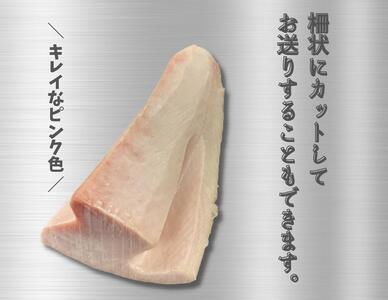 特選 ビンチョウマグロ【 トロビンチョウ 】 M081-005 冷凍 マグロ