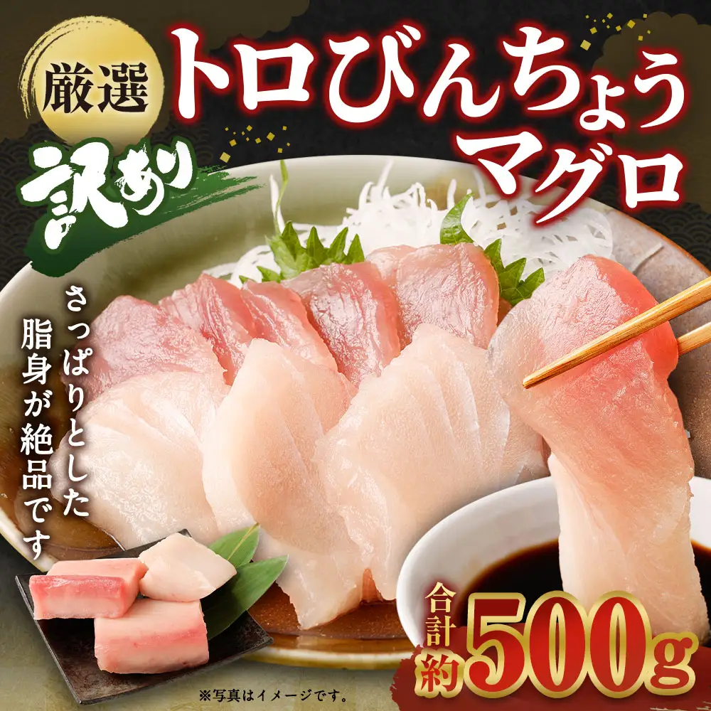 ge014　船元直送！約500gビンチョウマグロ・天然マグロ