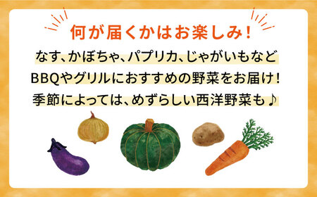 ☆キャンプにもおすすめ☆バーベキュー・グリル用朝採れ野菜特選セット【福岡県糸島産】(7-8人分) 糸島市 / オーガニックナガミツファーム 野菜 詰め合わせ 	[AGE039]
