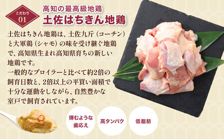 ぶしゅかんグリーンカレー３食セット