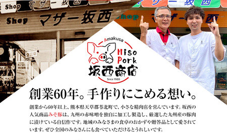 【3ヶ月定期便】豚肉 みそ漬け 8枚|坂西商店【離島配送不可】