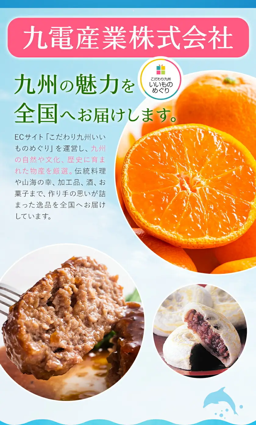 天草の塩・極上職人のうまかだしセット 天草の塩(しっとりタイプ) 200g 極上職人のうまかだし 8g×30包 九電産業株式会社 《30日以内に出荷予定(土日祝除く)》熊本県 苓北町 塩 だし salt だしパック 和食 調味料 天草の塩 天草 苓北 熊本 送料無料
