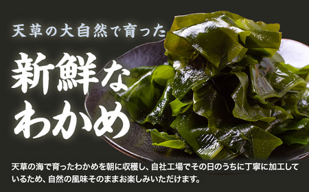 乾燥わかめ カット わかめ30g×5パック黒瀬海産