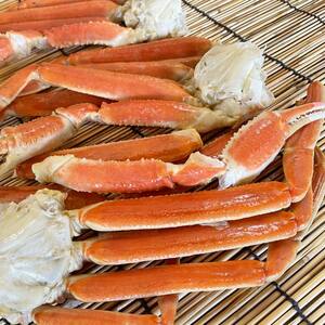 訳あり ズワイガニ脚(ボイル)1.0kg前後 かに 蟹 カニ 海鮮 魚介 釧路 北海道 F4F-3770
