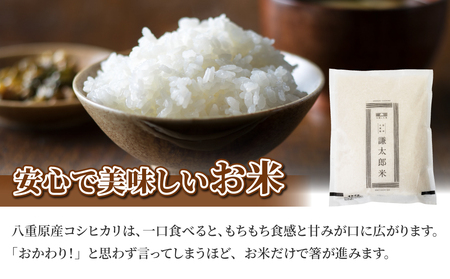 【太陽と大地】令和7年産「八重原産特別栽培米（減農薬・減化学肥料栽培）コシヒカリ（白米）２kg」と「信州味噌「八重原味噌」５００ｇ」セット