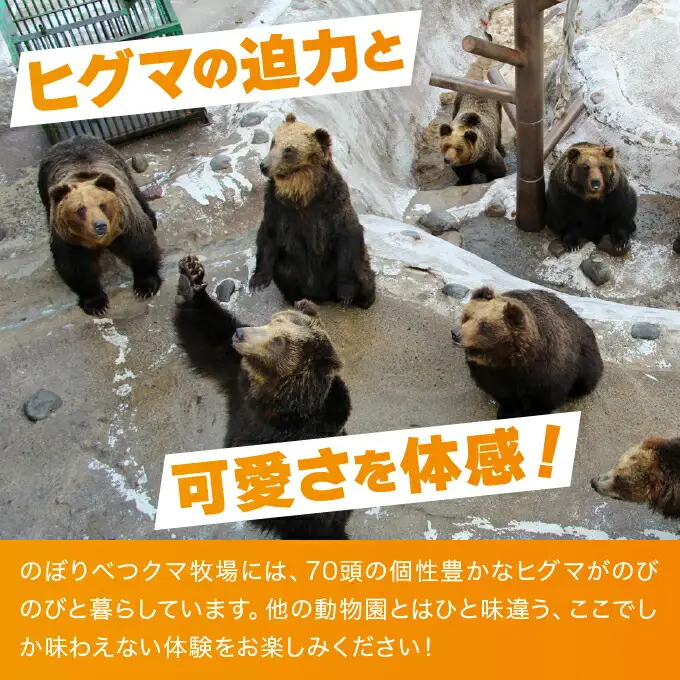 のぼりべつクマ牧場入場券 小人（小学生以下）1名様