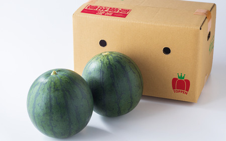 熊本県産 小玉すいか 2玉 スイカ 果物 フルーツ くだもの 西瓜【2026年6月上旬～6月下旬迄順次発送予定】