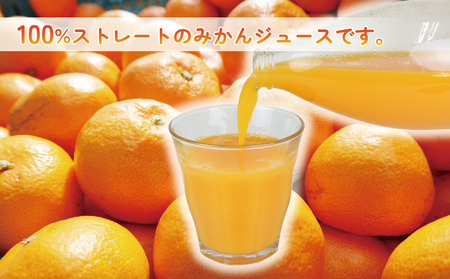 みかんジュース 1,000ml×3本 清家 ジュース H018-170001