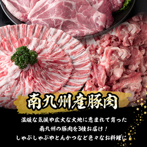 南九州産豚肉3種セット(切り落し・バラスライス・とんかつ)(計2.9kg) a5-270