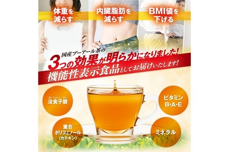 048-89　国産プーアール茶　SARYU-SOSO（2g×10ティーバッグ）×5袋セット　〈機能性表示食品〉