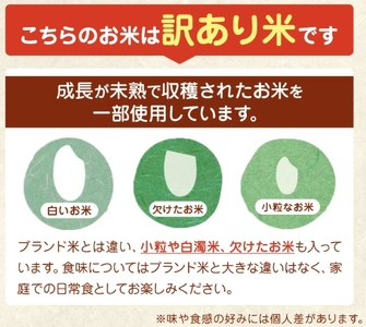 令和7年産 熊本県産 ほたるの灯り 無洗米 5kg | 選べる 銘柄 ほたるの