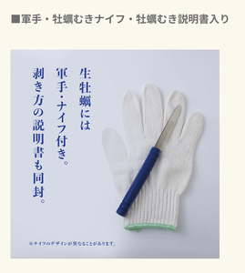 fn-42-002 ＜6月～7月頃にかけて順次発送予定＞【海洋深層水仕込み】釜石湾・尾崎牡蠣　20個セット 日本かきセンター