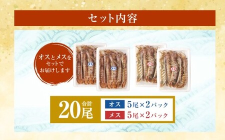 ボイル しゃこ オス・メス 合計20尾 （各10尾）