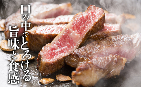 A5 等級 鹿児島県産 黒毛和牛 赤身 ステーキ 600g K002-028 肉 牛肉 冷凍
