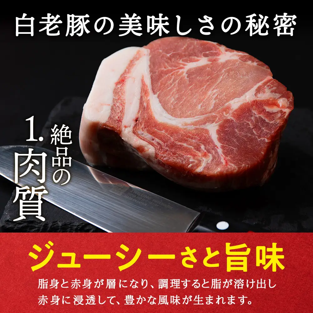 【定期便 12カ月】北海道産 白老豚 肩ロース ブロック 500g×2パック BV054