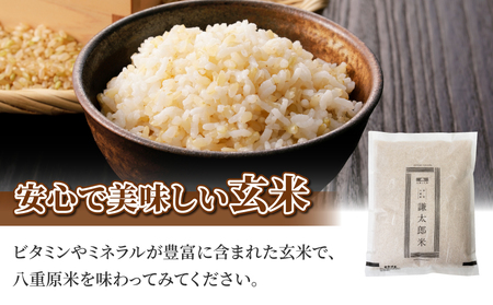 【太陽と大地】令和7年産「八重原産特別栽培米（減農薬・減化学肥料栽培）コシヒカリ（玄米）２kg」と「信州味噌「八重原味噌」５００g」セット