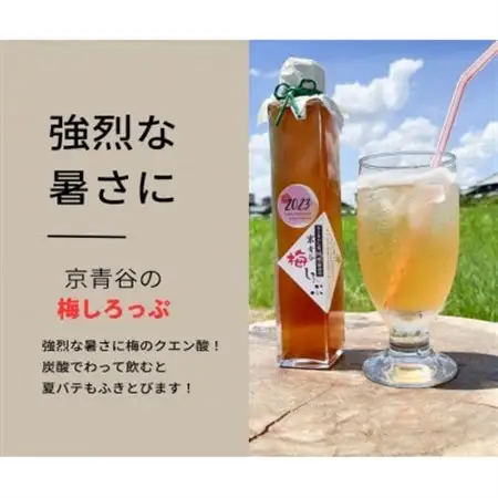 炭酸水や、カクテルで楽しめる梅の味【京青谷の梅しろっぷ】200ml×2本_惣菜・加工品  缶詰・瓶詰   調味料   _【1431920】