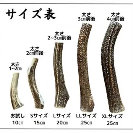 鹿の角 お試しサイズ 10cm 2本 犬のおもちゃ デンタルケア 小型犬用_ ペット用品  _【1415910】
