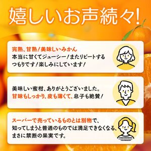 【先行予約】完熟早生みかん　宮川早生１０kg※2026年12月から順次発送予定※ 【期間限定・12/20まで受付】/ 和歌山県 ミカン フルーツ 果物 柑橘 田辺市 【nak007-1】