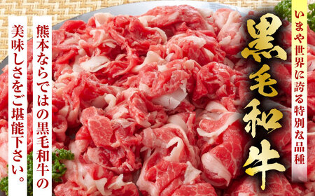 【3回定期便】熊本県産 黒毛和牛 切り落とし 計約1kg (約250g×4P)【有限会社九州食肉産業】九州 熊本県産 切り落とし 小分け 牛肉 和牛 国産 A4 A5ランク 小分け [ZDQ032]