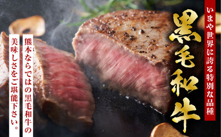 【3回定期便】熊本県産 黒毛和牛 サーロイン ステーキ 3枚 約600g【有限会社九州食肉産業】牛肉 A4 A5 国産 黒毛和牛 九州産 熊本県産 くまもとサーロインステーキ 和牛  [ZDQ042]