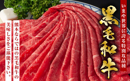 【6回定期便】熊本県産 黒毛和牛 ロース 食べ比べ セット（ステーキ ロース スライス） 約800g 【有限会社 九州食肉産業】 牛肉 A4 A5 国産 黒毛和牛 九州産 熊本県産 ロース 和牛   [ZDQ047]