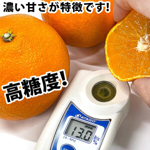 みかん 訳あり 愛果28号 5kg 中井屋 みかん B015-173001