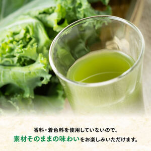 【3ヶ月定期便】伊藤園 毎日1杯の青汁無糖（紙パック）200ml×48本 飲料 野菜 備蓄 長期保存