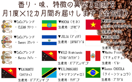 【宝塚】12ヶ月の定期便（当日自家焙煎珈琲豆・全12種類）【粉】